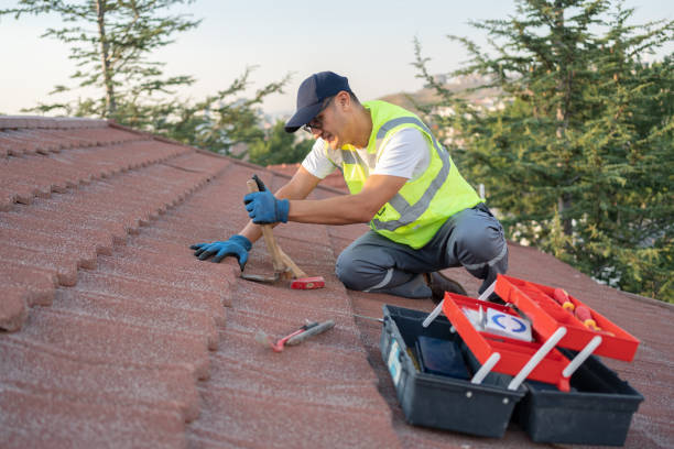 Best Roof Gutter Cleaning  in Atkins, AR